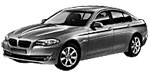 BMW F10 U2020 Fault Code
